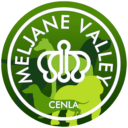 web-logo